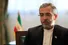 باقری کنی: مقاومت مردم و نیرو‌های مسلح آمریکا را مستاصل کرده است