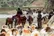 ثبت قمیشلو–دالانکوه در یونسکو