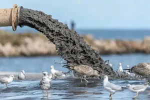 تالاب انزلی زیر تیغ پساب‌ها