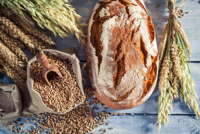 با خوردن نان گندم چه اتفاقی در بدن می افتد؟ تأثیر آن بر روده، قند خون و سلامت بدن