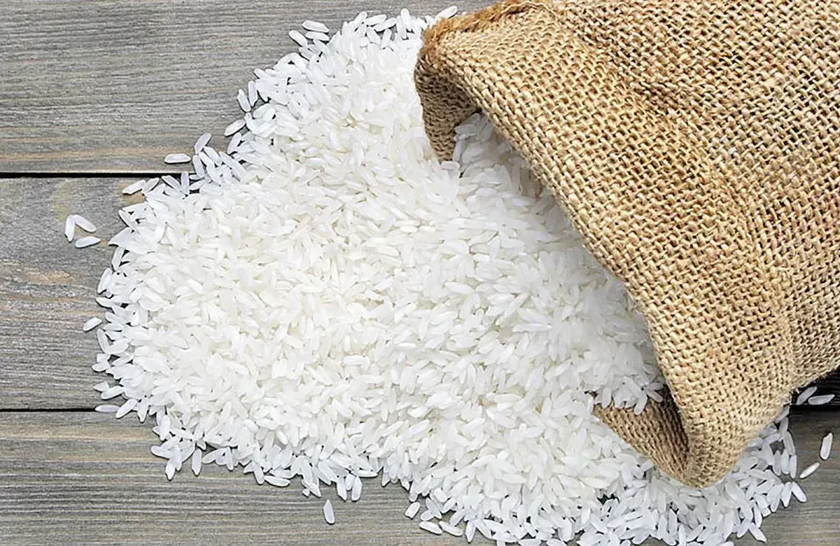 گزارش میدانی از بازار برنج / قیمت‌ها همچنان در کانال 450 تا 550 هزار تومان