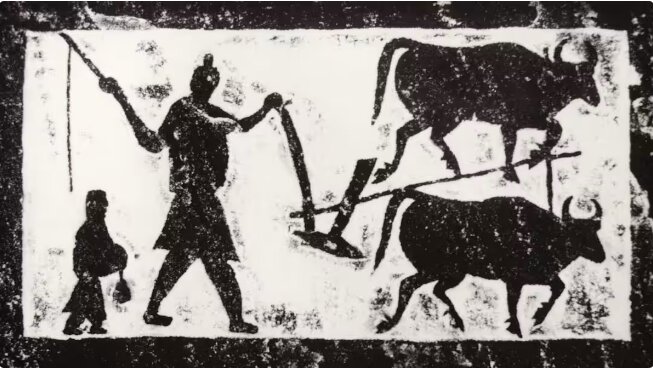 گاوآهن برگرداندار (مولدبورد) گاوآهن برگرداندار (مولدبورد)