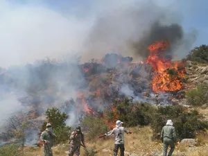 سازمان منابع طبیعی: شکارچیان غیرمجاز ‌جنگل الیت را آتش زدند‌