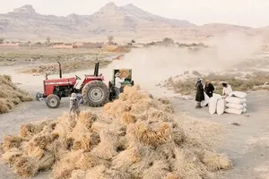 خشکی دریاچه ارومیه و توفان نمک؛ مهاجرت، بیکاری و تهدید سلامت در روستاهای اطراف