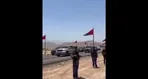 شترهایی که برای سلطان عمان قربانی شد