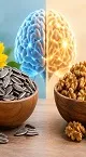 دوئل ابر خوراکی های مغز؛ چرا نباید تخمه آفتابگردان را دست کم بگیرید؟