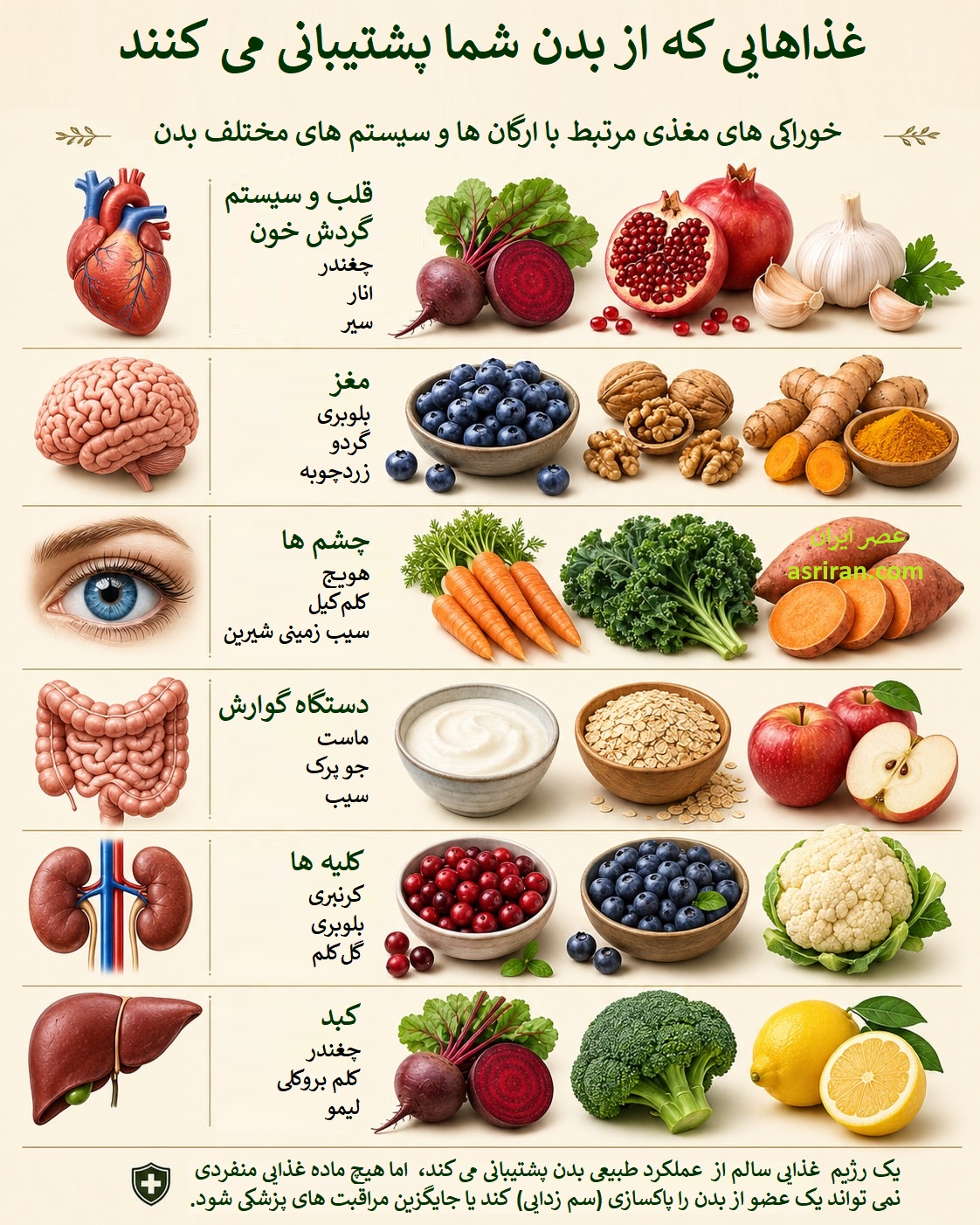 اینفوگرافیک خوراکی های مفید برای قسمت های مختلف بدن انسان