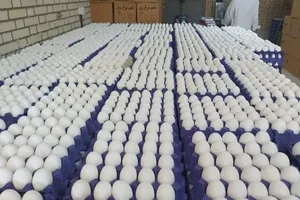 کشف انبار بزرگ تخم‌مرغ‌های فاسد در شهرستان ری