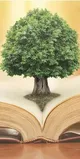 شبکه کتاب تعطیل شد ؛ شعار کتابخوانی بدون پشتوانه عملی