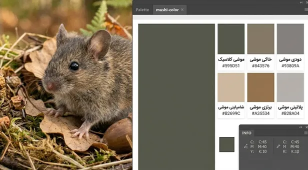 رنگ موشی
