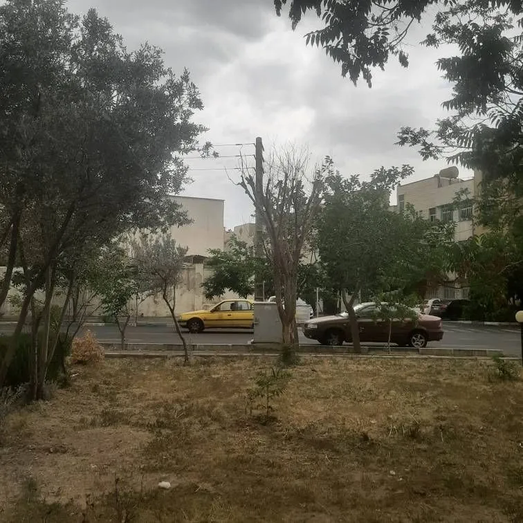 از نگاه شما : مشکلات باغچه‌ها و درختان در منطقه ۲۲ تهران / نه خاک مناسب است و نه آبیاری