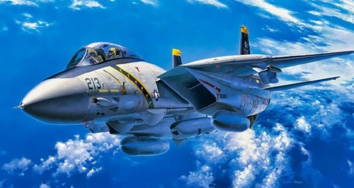 ایران تنها کشور جهان با جنگنده‌های F-14 تامکت؛ داستان یک میراث نظامی