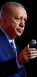 اردوغان: حملات اسرائیل به سوریه و لبنان تهدیدی برای ترکیه است و باید متوقف شود/ ما هرگز اجازه تحقق توهم