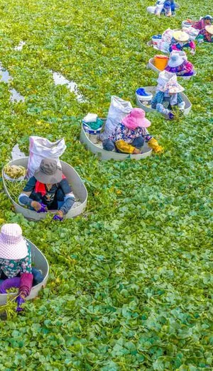 دیدنی های امروز ؛ از دیوار عشق در چین تا حملات هوایی اسرائیل به جنوب لبنان
