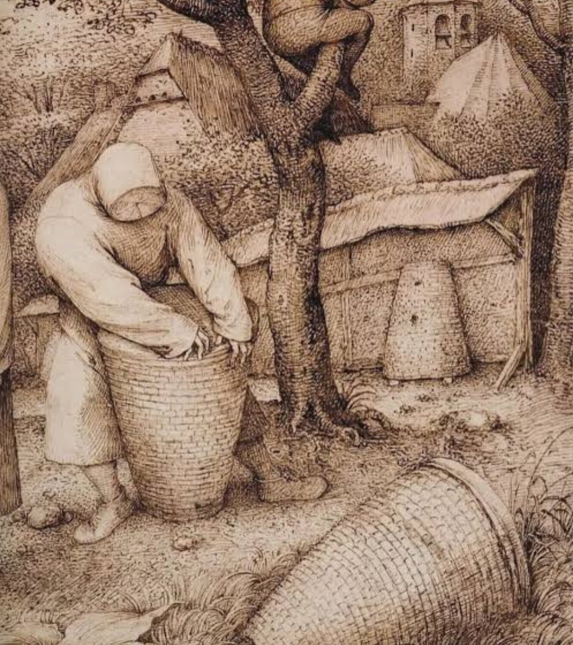 لباس محافظ زنبورداران در قرن شانزدهم (+عکس) لباس محافظ زنبورداران در قرن شانزدهم (+عکس)